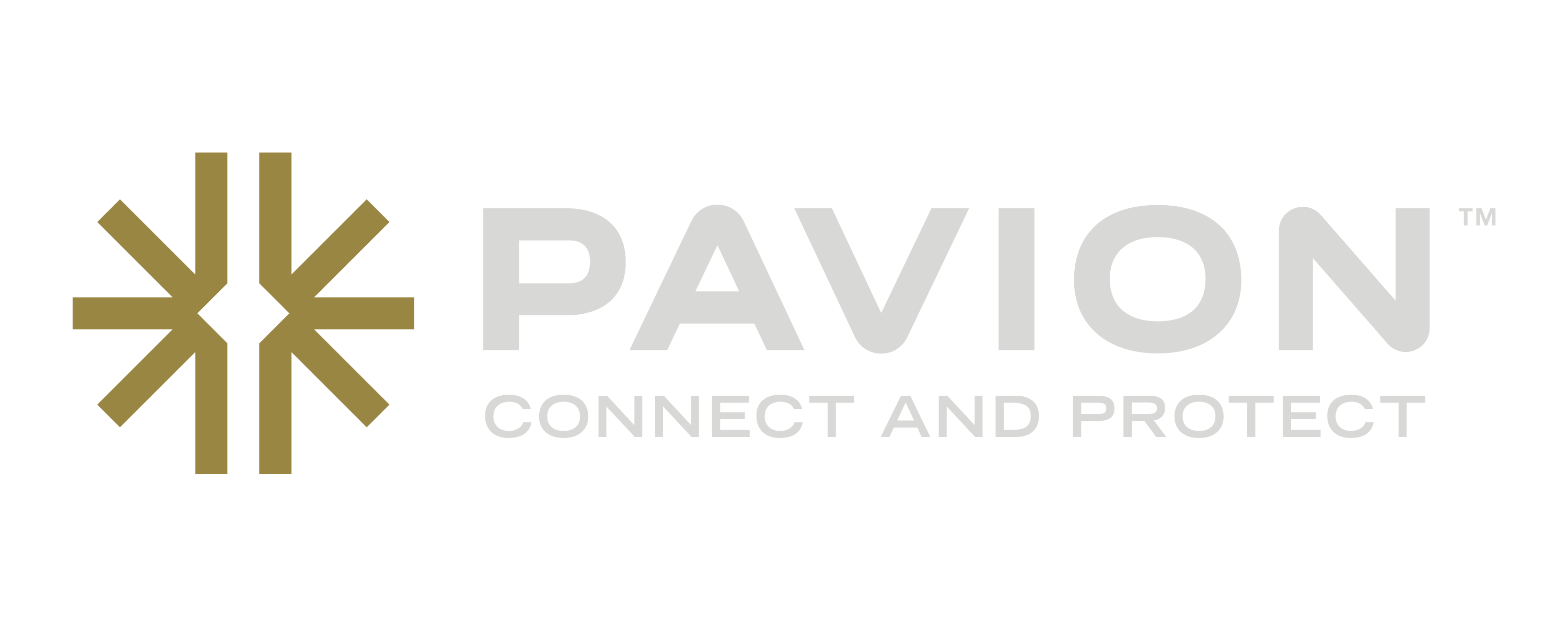 Pavion Tagline Logo Horizontal Grey